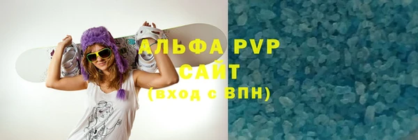 хмурый Белокуриха