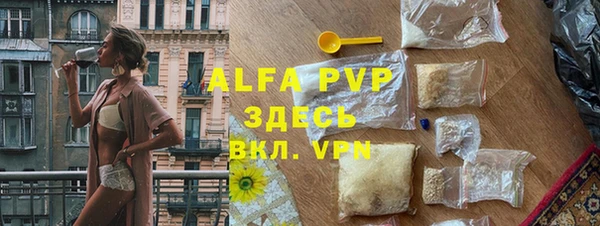 хмурый Белокуриха