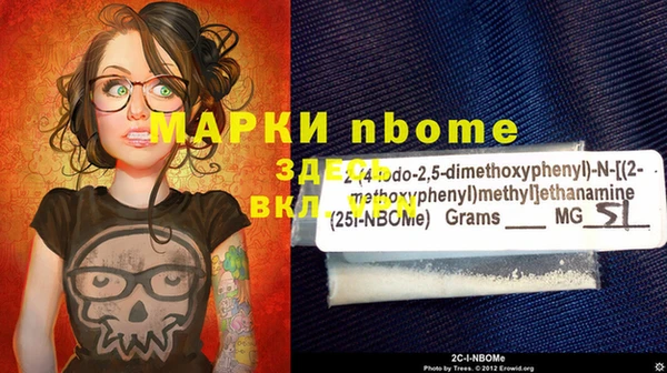 хмурый Белокуриха