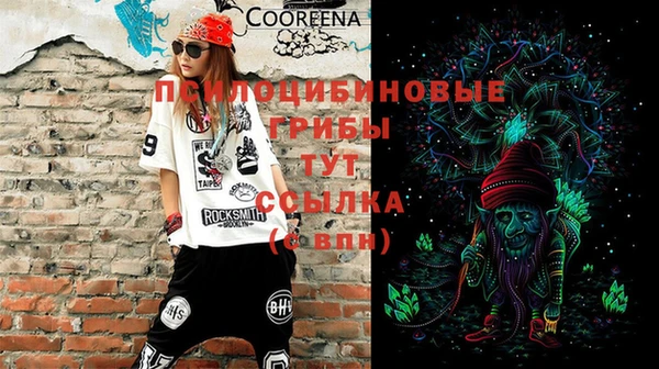 твердый Белоозёрский