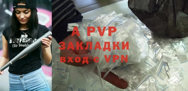 хмурый Белокуриха